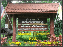 2. สวนป่าแม่มาย - องค์การอุตสาหกรรมป่าไม้ภาคเหนือบน
