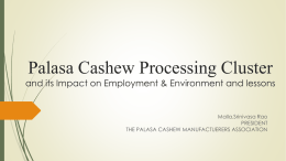 Palasa processing cluster- Mr Malla Srinivas Rao