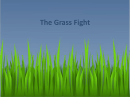 The Grass Fight