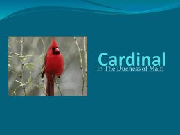 Cardinal[1]