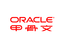 为Oracle 数据库优化的硬件系统
