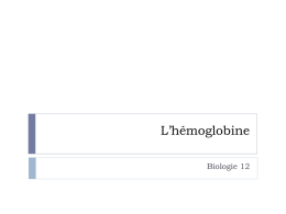 Hemoglobine ppt