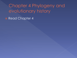 Chapter 4 Phylogenetics I