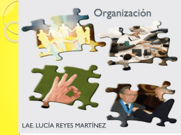 Organización - administración utim