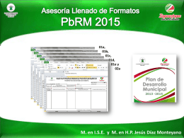 Llenado Formatos Programa Anual PbRM 2015