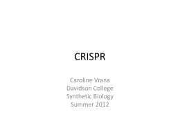 Media:Summer_Work_CRISPR_final