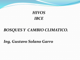 Presentación HIVOS - IBCE Ing, Gustavo Solano Garro