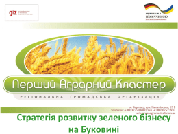 Стратегія розвитку зеленого бізнесу на Буковині
