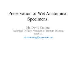 Preservation of Wet Anatomical Specimens.