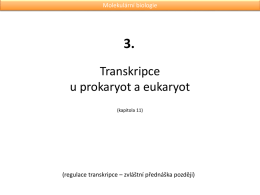 Transkripce