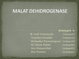 MALAT DEHIDROGENASE