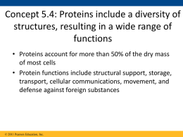 protein review 2 - Ms. Hart WHS Science