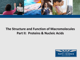 04b AP Bio The Structure and Function of Proteins and Nucleic