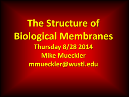 Membrane Structure - Bio 5068