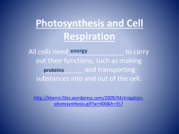 Photosynthesis and Cell Respiration .
