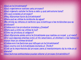 PRESENTACI&Oacute;N FOTOS&Iacute;NTESIS