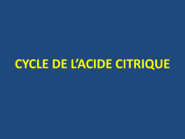 Cycle de l`acide citrique