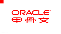为Oracle 数据库提供数据保护解决方案