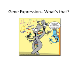 Positive Gene Regulation