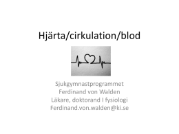 Hjärta/cirkulation