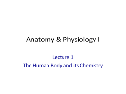 PowerPoint Lecture