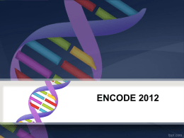 ENCODE2012