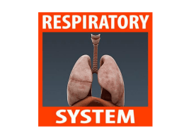 Breathing versus Respiration