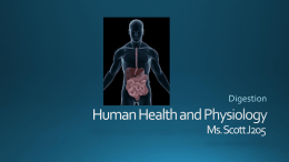Human Health and Physiology Digestion, Student