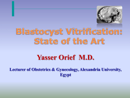 Blastocyst vitrification