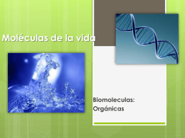 Moléculas orgánicas 2ª prueba - Colegio Adventista La Serena