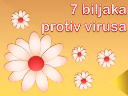 7 Biljaka protiv virusa