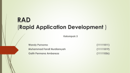 RAD (Rapid Application Development )