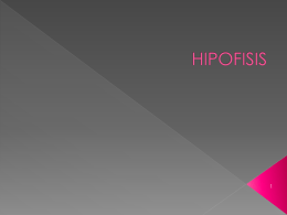 hipofisis - WordPress.com