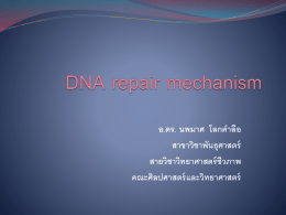 DNA mutation and repair mechanism