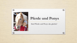Pferde und Ponys