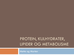 Protein, kulhydrater, lipider og metabolisme