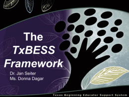 The TxBESS Framework