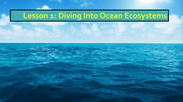 Lesson 1: Diving Into Ocean Ecosystems