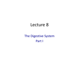 powerpoint Part 1