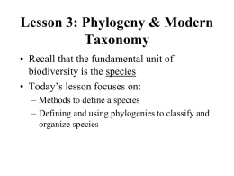 Lesson 3 Species Concepts and Phylogeny