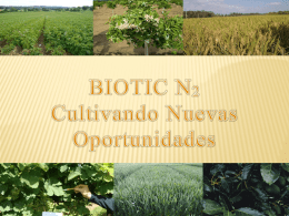 Biotic N 2 - Purely Organic SA