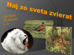 Naj zo sveta zvierat Ján Gočík_4A