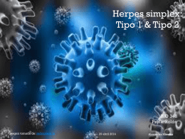 Herpes Simplex 1 y 2