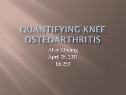 QuaNTIFYING KNEE OSTEOARTHRITIS: JOINT SPACE
