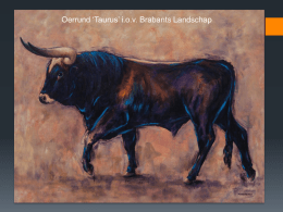 presentatie - Marcel Noordman