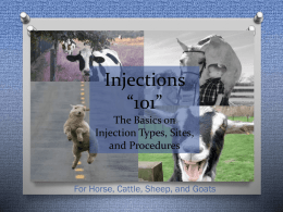 Injection Procedures - Montgomery County Schools