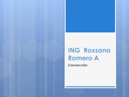 ING Roxsana Romero A