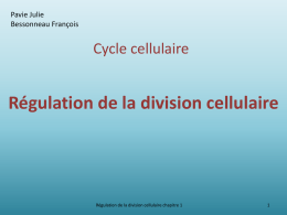 Régulation de la division cellulaire