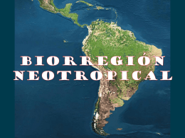 Biorregión Neotropical