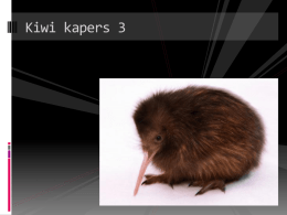 91264 Lesson 8 Kiwi kapers 3 part 2 - CMA-workshop